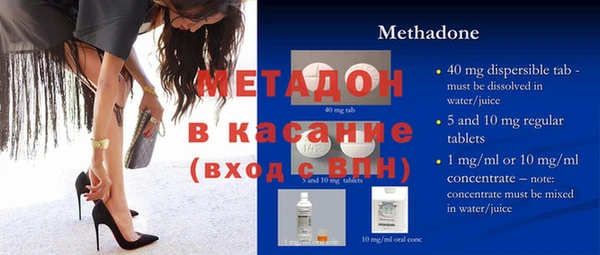 прущие грибы Новозыбков