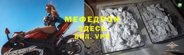 прущие грибы Новозыбков