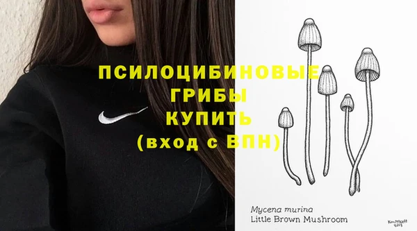 мефедрон мука Новодвинск