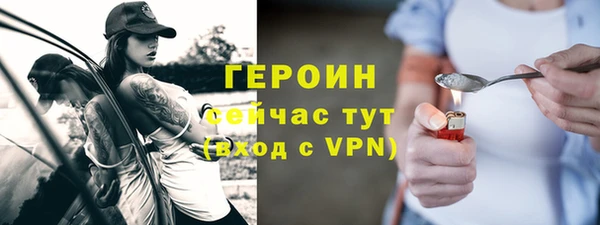 прущие грибы Новозыбков