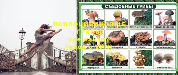 MDMA Нефтекумск