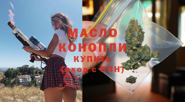 прущие грибы Новозыбков
