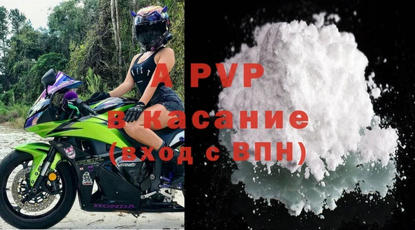 прущие грибы Новозыбков